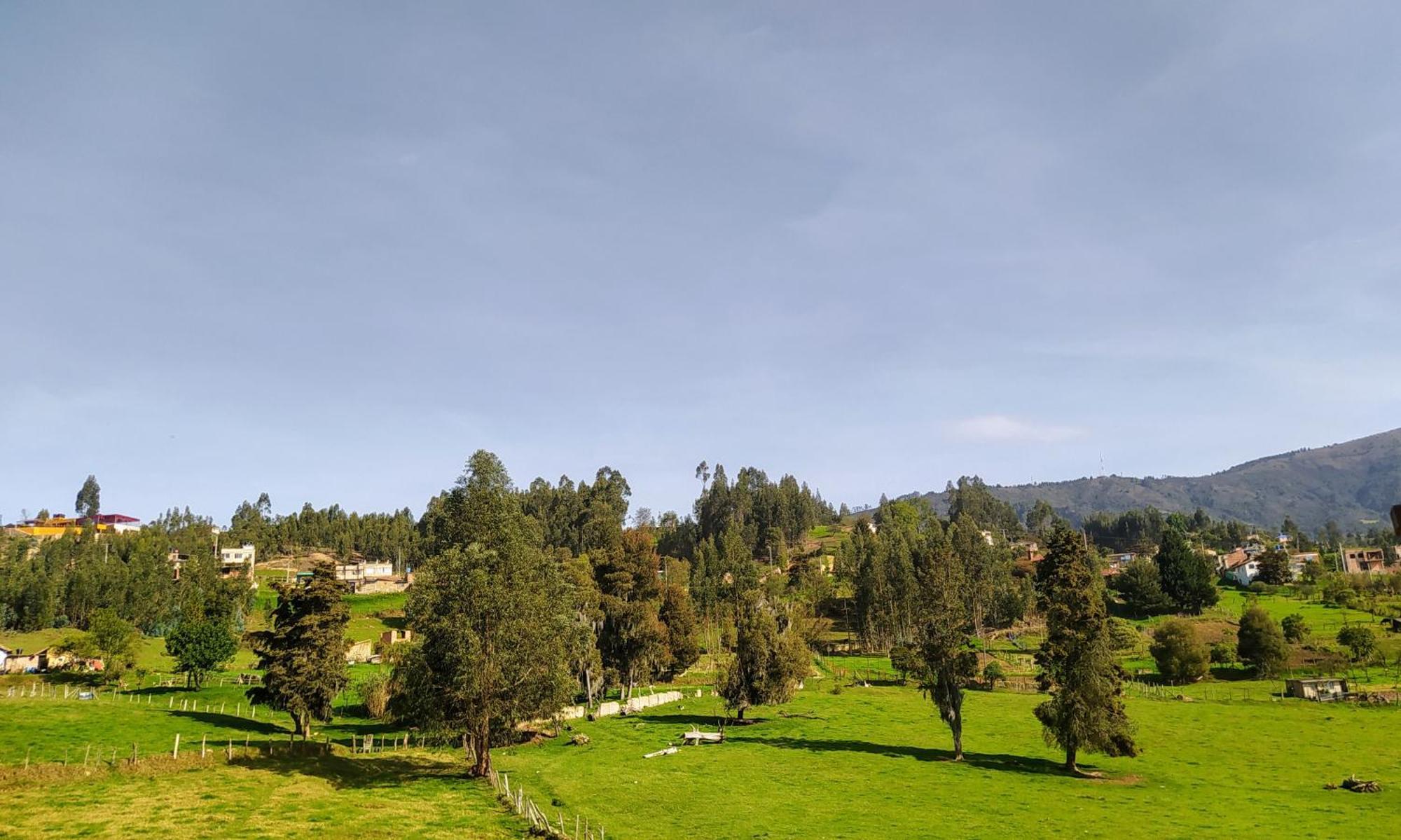 Homestay Semiurbano *